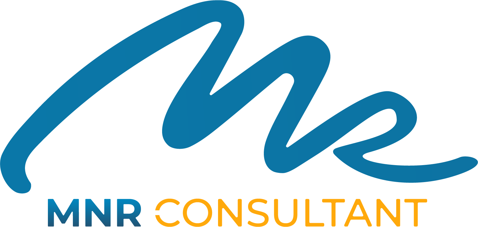 MNR Consultant